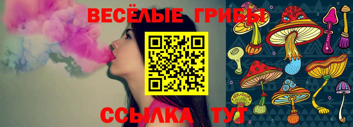 Псилоцибиновые грибы MAGIC MUSHROOMS  Вход с VPN  Галлюциногенные грибы мухоморы  Ухта 